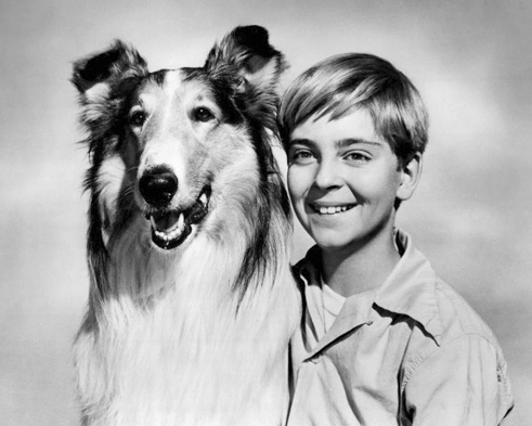 Lassie_Tommy_Rettig_Circa_1955