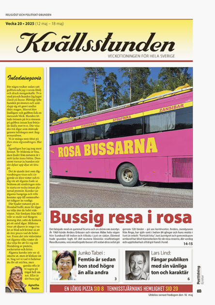 KVS Vecka 20 - 2025