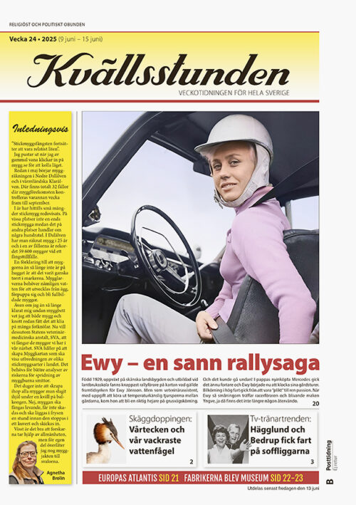 KVS Vecka 24 - 2025