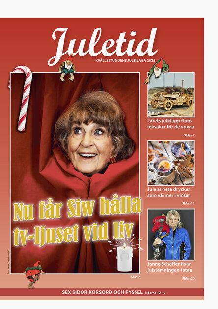 KVS Julbilaga – 2025