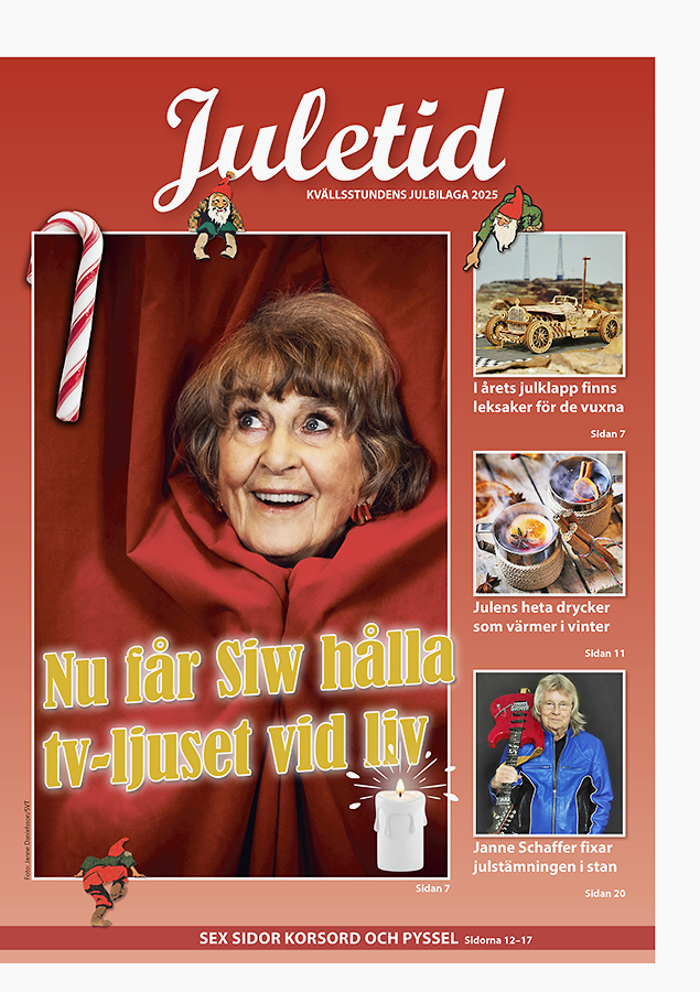 KVS Julbilaga – 2025