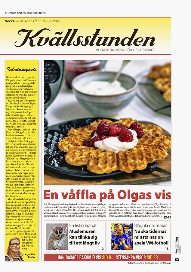 KVS Vecka 9 – 2026