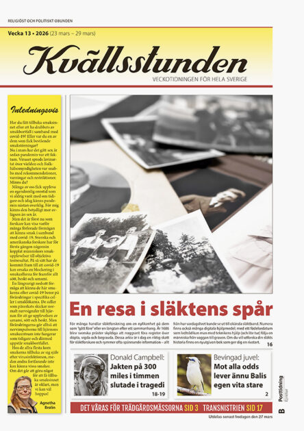 KVS Vecka 13 – 2026