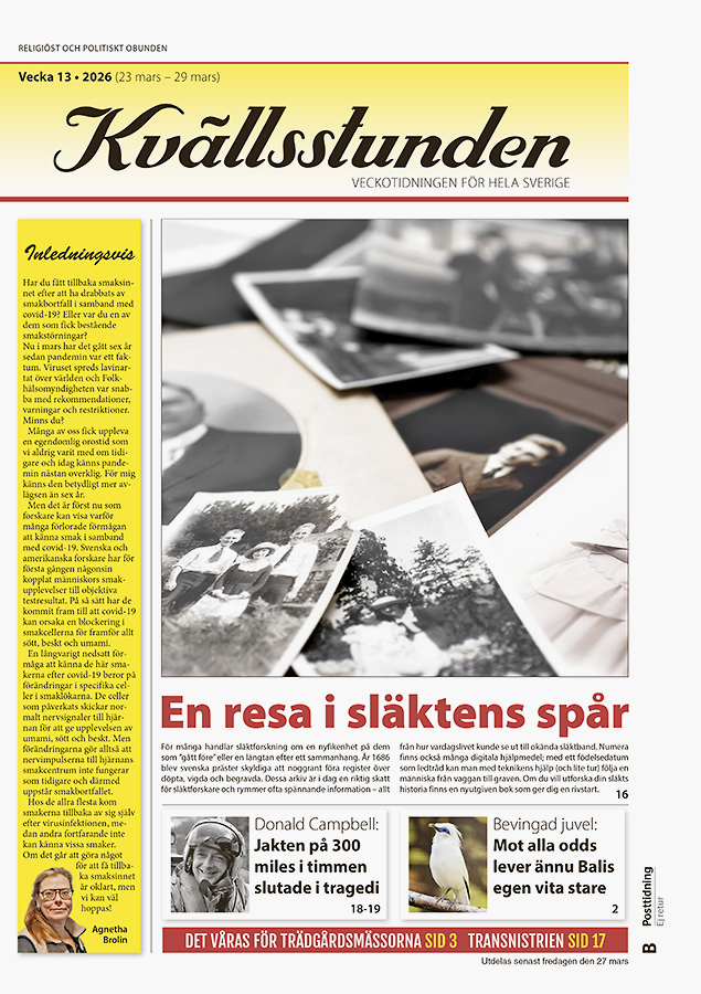 KVS Vecka 13 – 2026